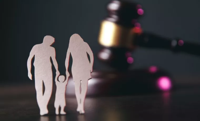 Avocat en droit de la famille à Hasparren , Hasparren, HANUS Christian